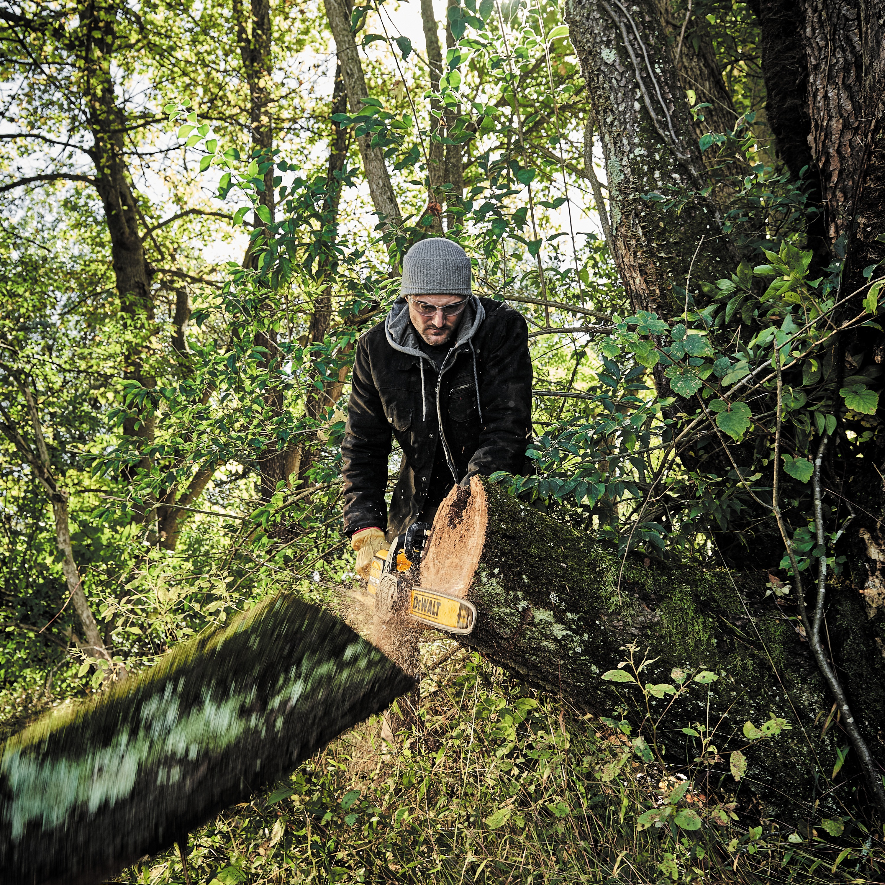FLEXVOLT Cordless Chainsaw being used by a worker to chop down large tree trunks in  woods