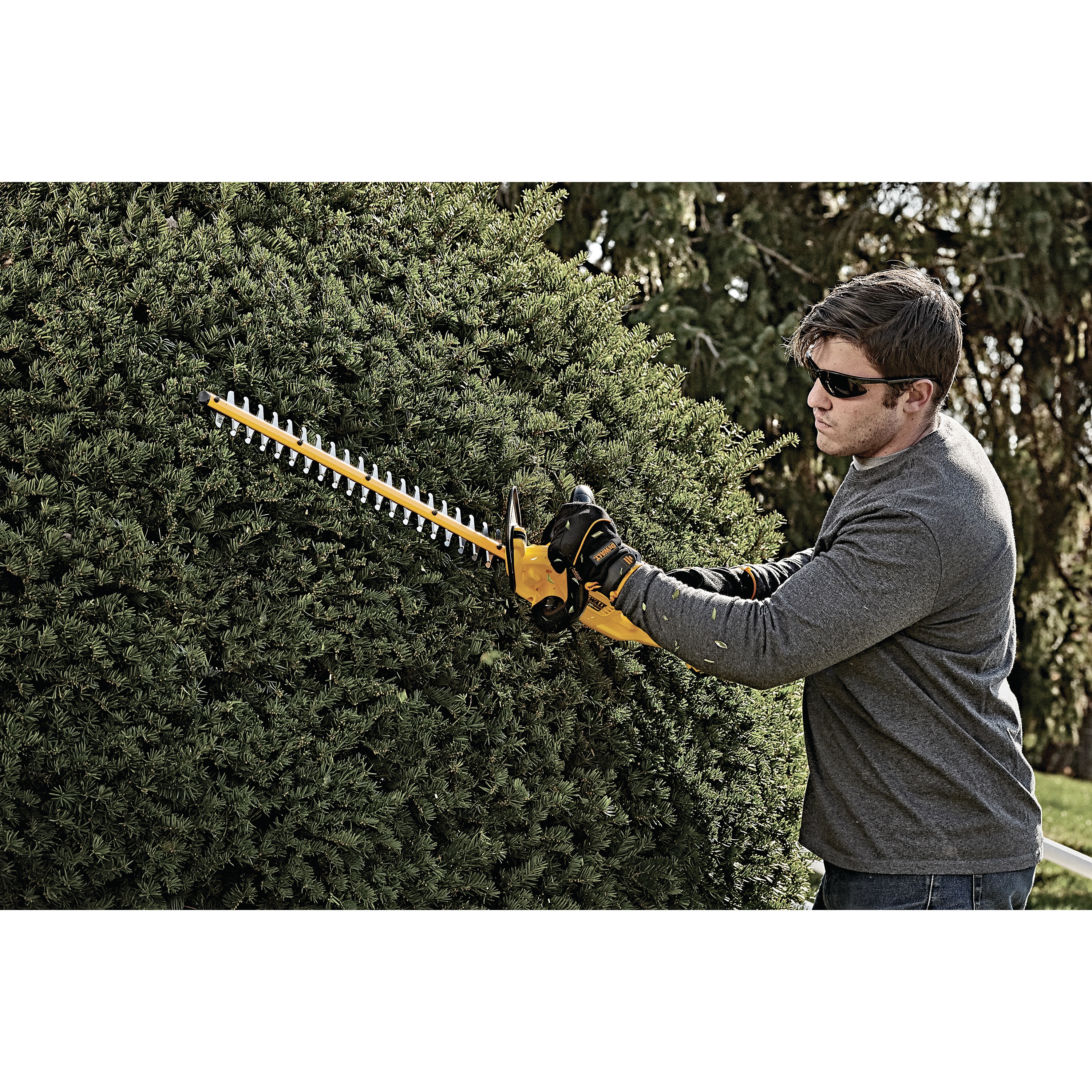 Lithium ion hedge trimmer being used by a person to mend hedge