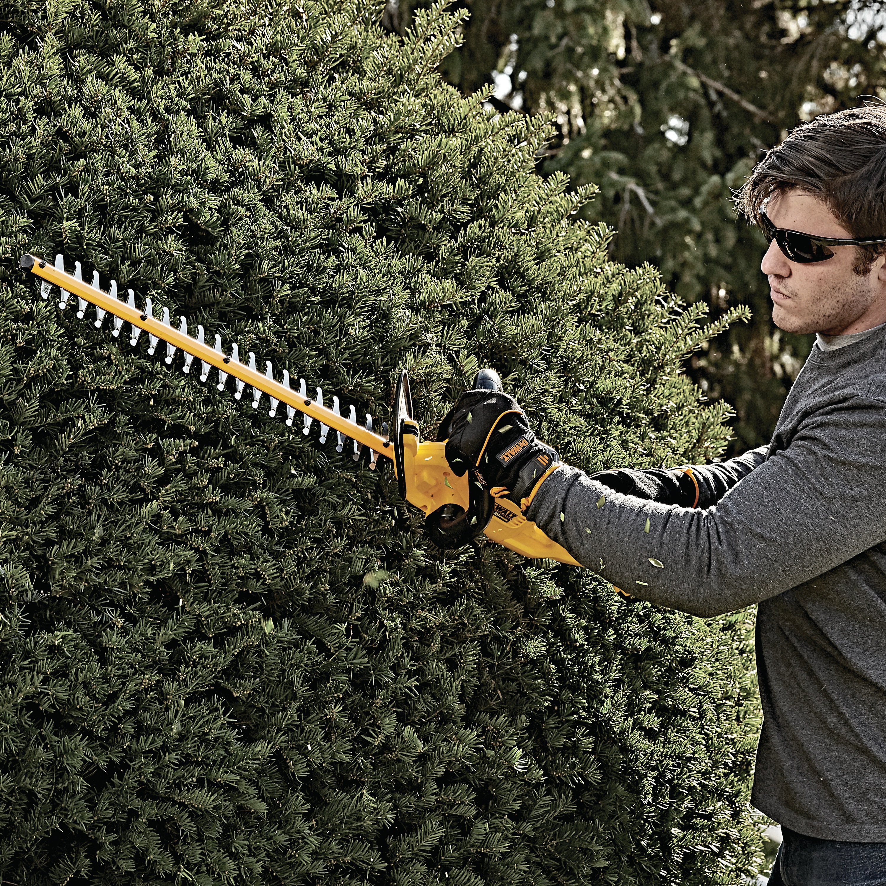 dewalt hedge trimmer 20v lowe's