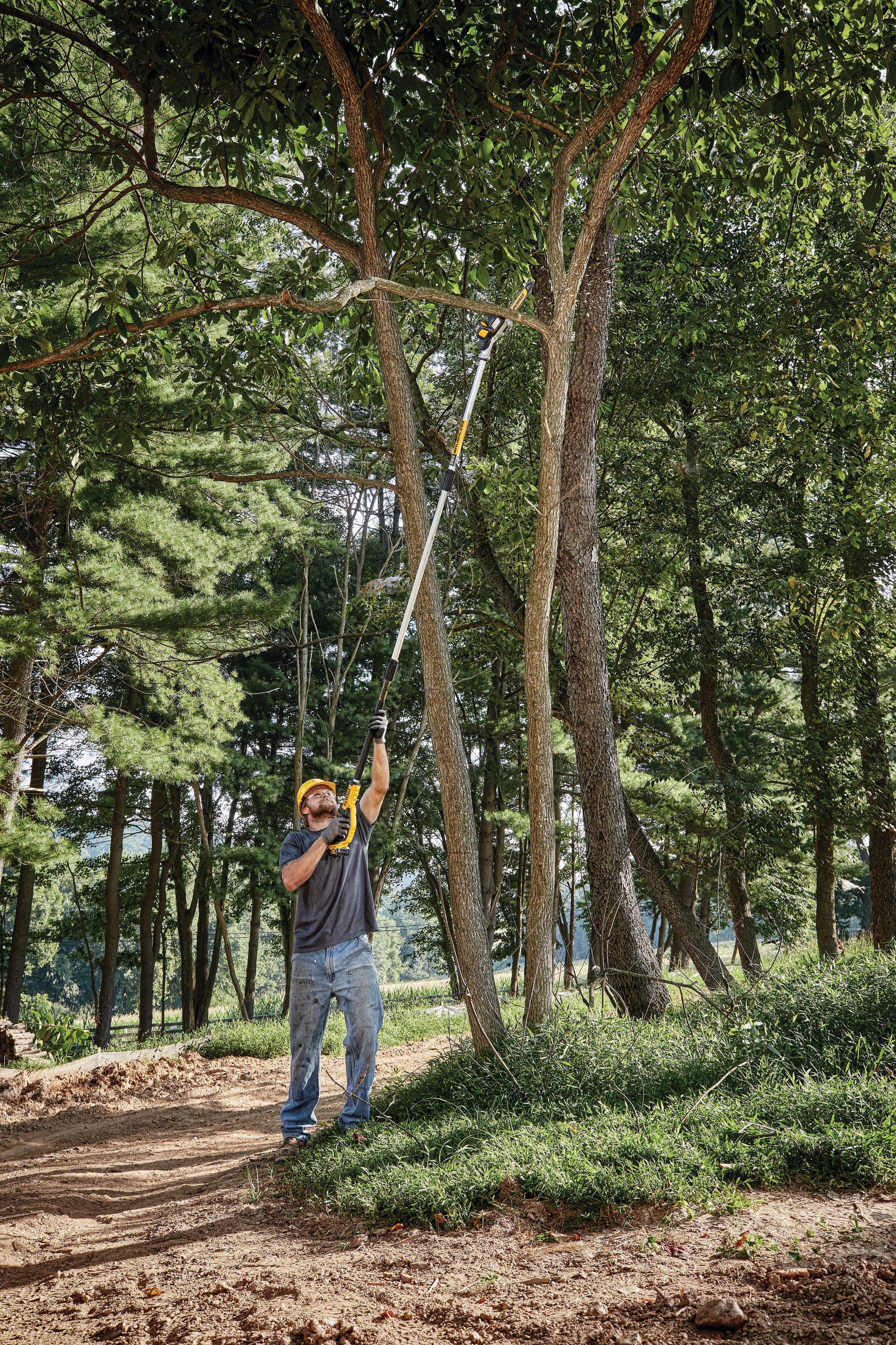 dewalt tree trimmer