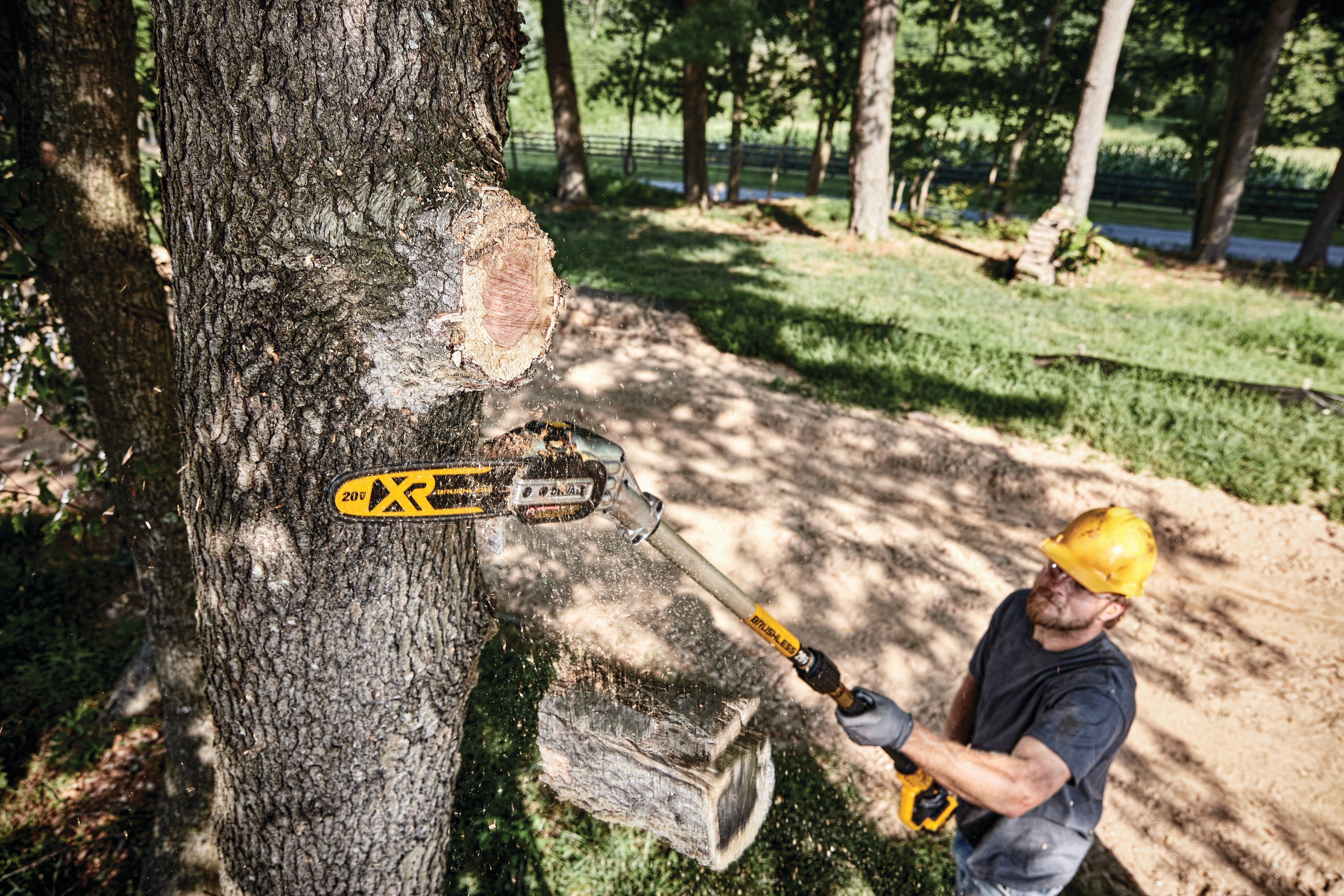 dewalt electric tree trimmer