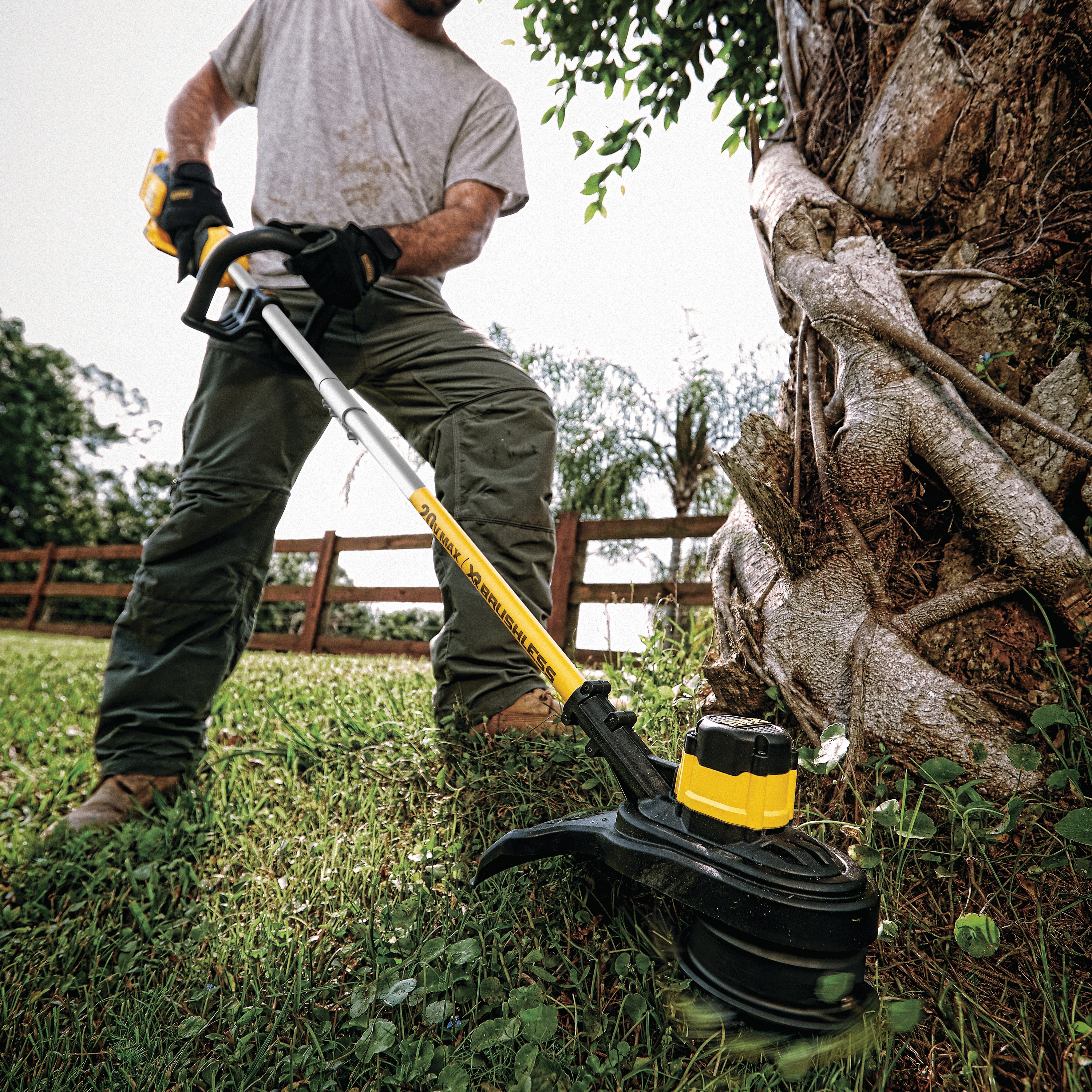 battery powered dewalt weed eater