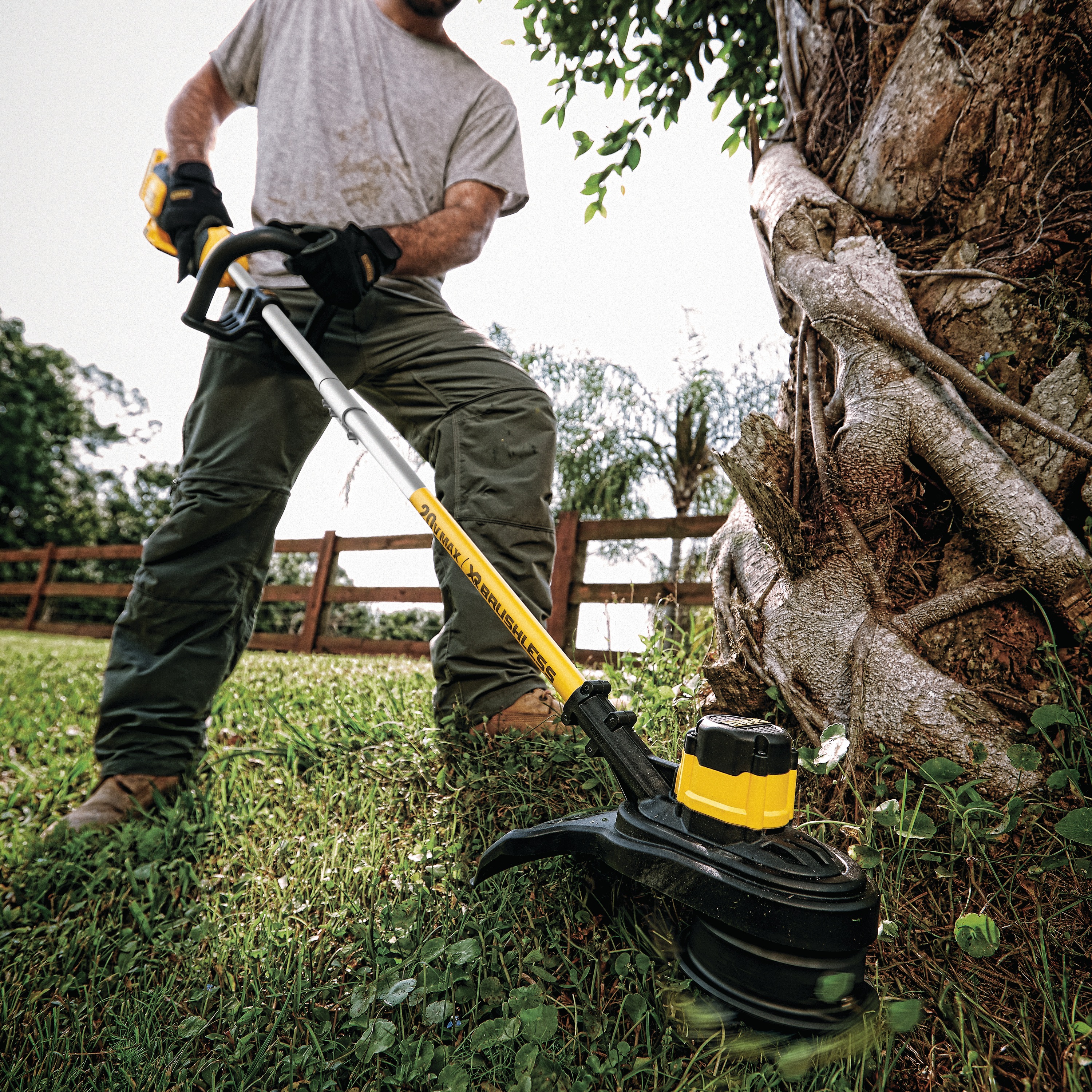 dewalt weed eater 20 volt