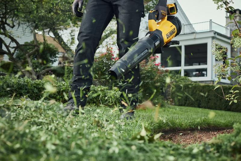 Blowing grass leaves