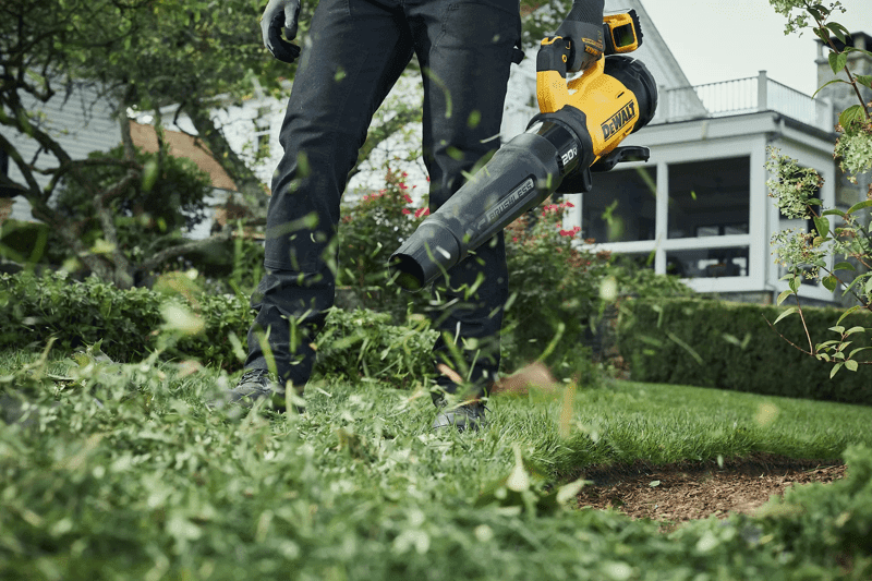 Blowing grass leaves